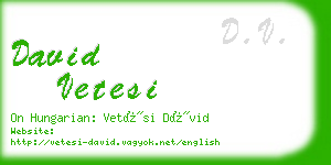 david vetesi business card